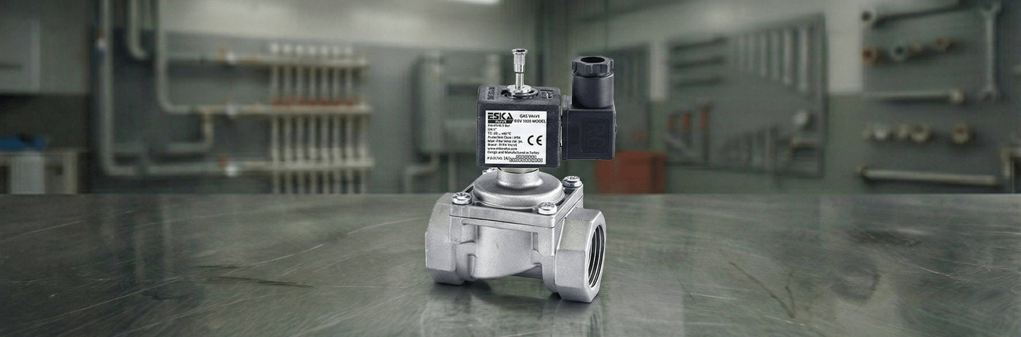 Selenoid Vana - Bursay